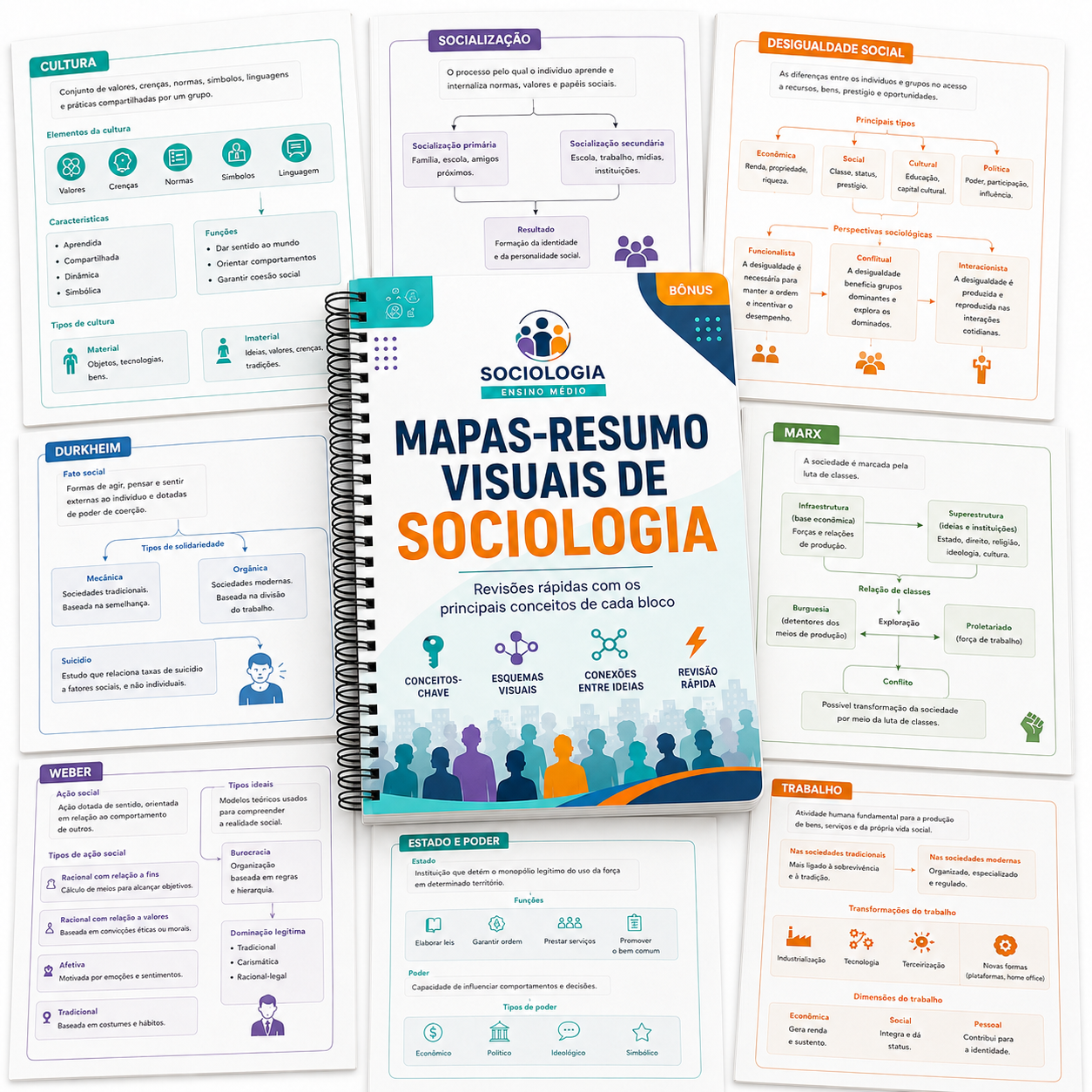 Mapas-Resumo Visuais De Sociologia